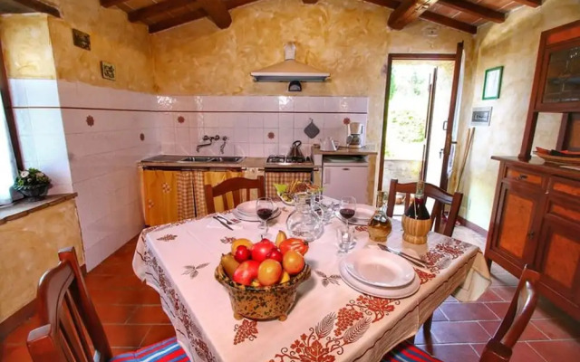 Bellavista farm of Quercini Maurizio