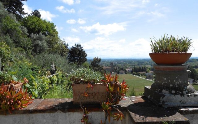 La Pieve di SantAndrea