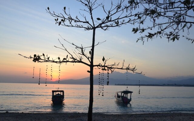 The Rabbit Tree - Hostel