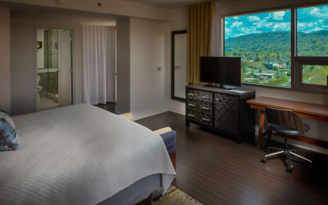 Hotel Indigo Asheville Downtown by IHG