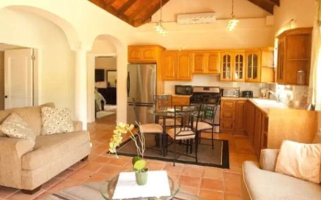 Coconut Tree Villa