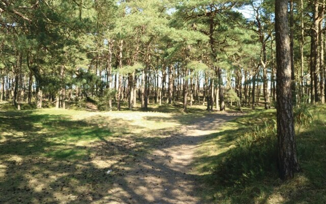 Awesome Home in Breege/juliusruh With 2 Bedrooms, Sauna and Wifi