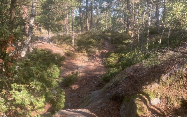 Luxurious Studio Within Nature Next to Stockholm