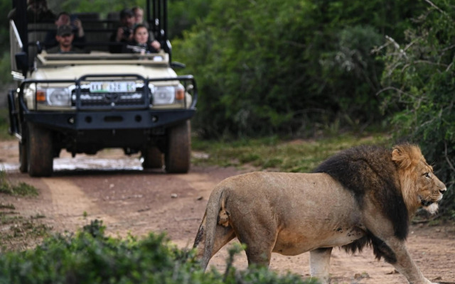 Elephants Lodge - Bellevue Forest Reserve