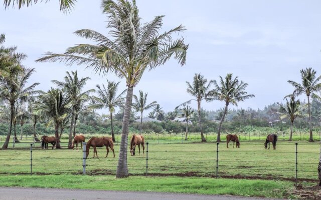 North Shore Country Villa