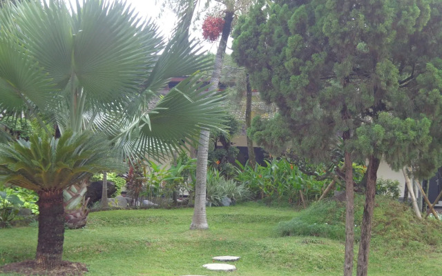 Insumo Palace Hotels & Resorts