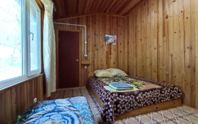 Камень Льва