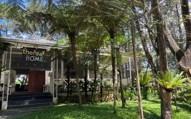 The Peak Home