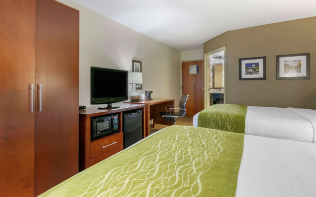 Comfort Inn Downtown