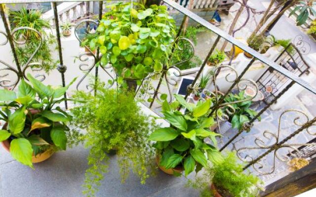 Hangzhou Yueshu Homestay (Xihu Zhejiang University)