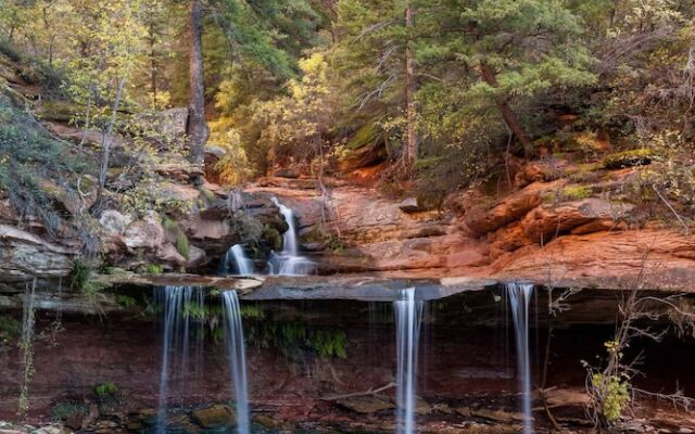 The Sunnyside Haven by RedAwning