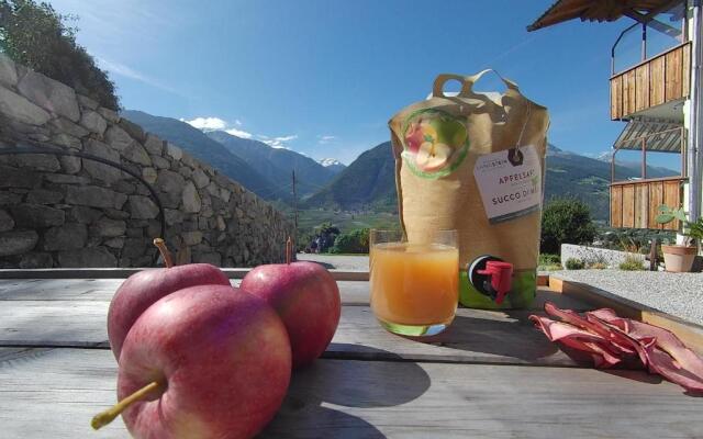 Langstein Bio Urlaub & Genuss