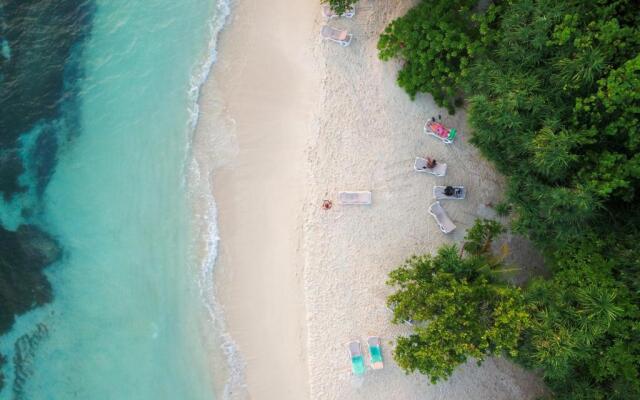 Quicksand Rasdhoo