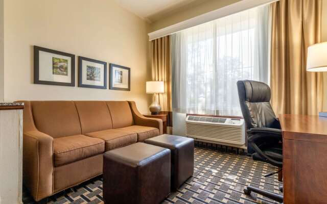 Comfort Inn Summerville - Charleston