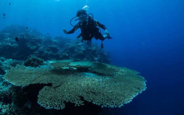 Sogod Bay Scuba Resort