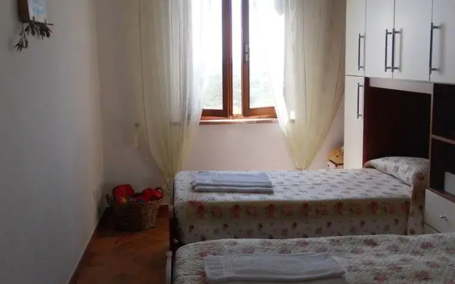 La Casa tra Gli Ulivi Cottage House