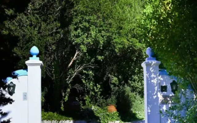 Pine Tree House in Azeit o