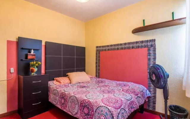 Nice full apartment, downtown on foot