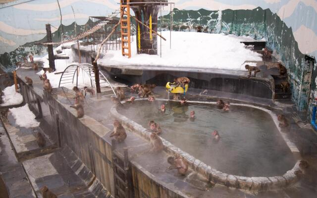 Yunokawaonsen Hotel Amamiyakan Vacation Stay 39057