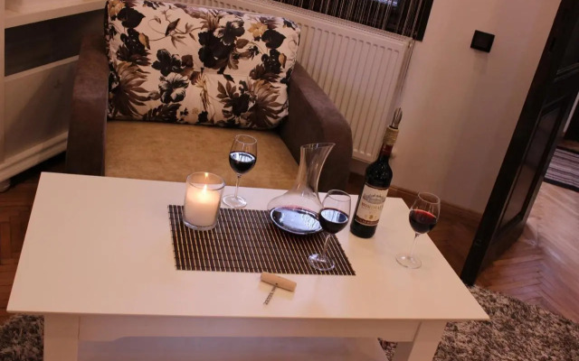 ELLA Apartment Timisoara no11