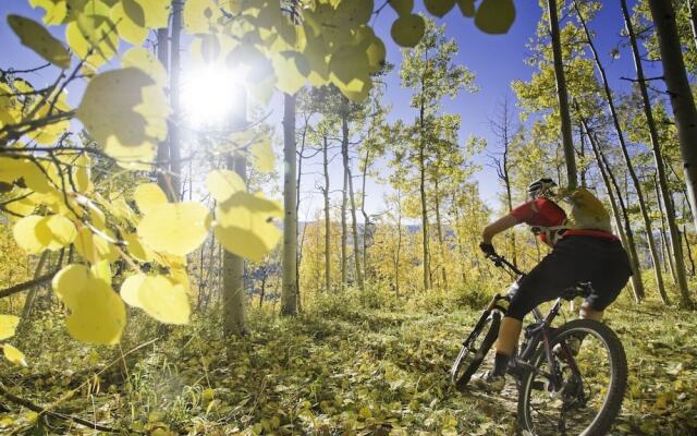 Winterstar Townhome 3 Bedrooms 3.5 Bathrooms Townhouse