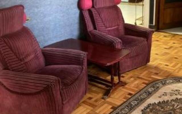 Classic Apartment On Kievyan