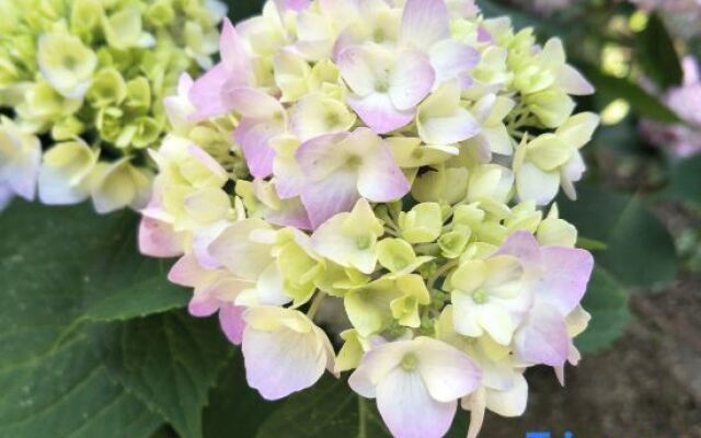 Po return. Slow talk