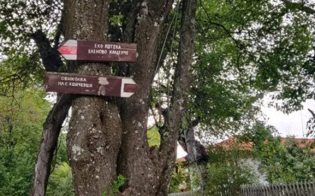 Старата Къща - Трявна