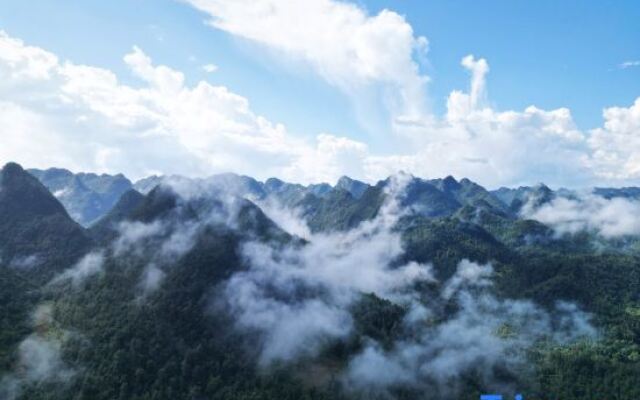 Elegant Residence·Jinlansu