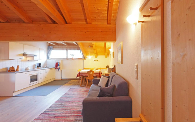 Chalet Appartement Zingerlehof Trens