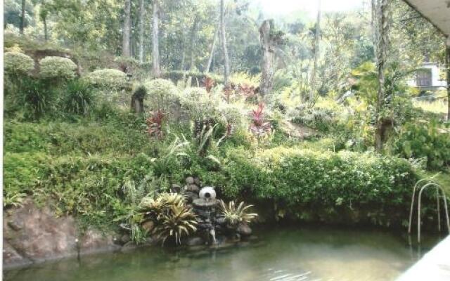 Cool Spring Rest Guesthouse