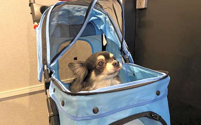 IMANO OSAKA SHINSAIBASHI HOSTEL - Vacation STAY 27589v