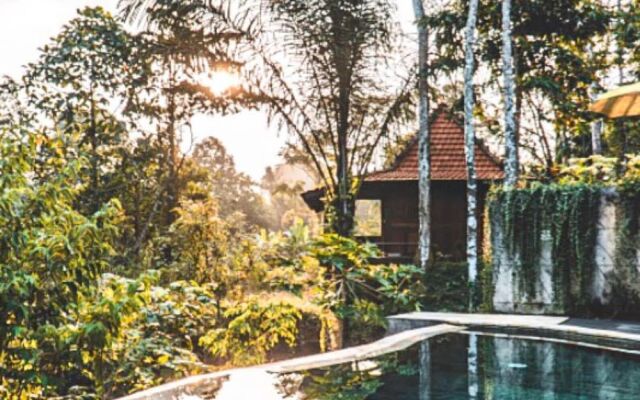 The Jungle Villa