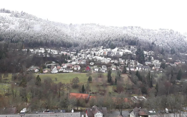 Ferienwohnung in ruhiger Waldrandlage