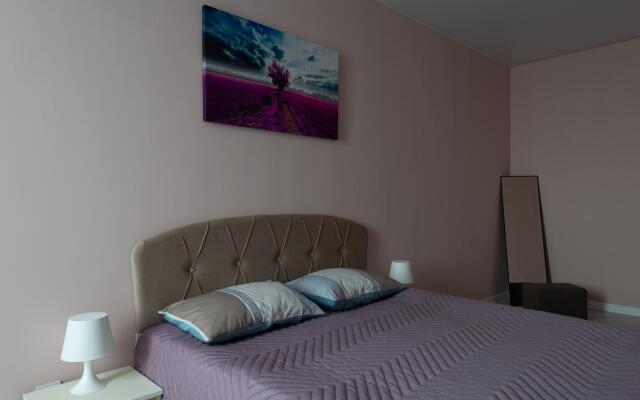 Уютные апартаменты на улице Новгородская