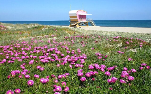 Tipi Lounge and breakfast