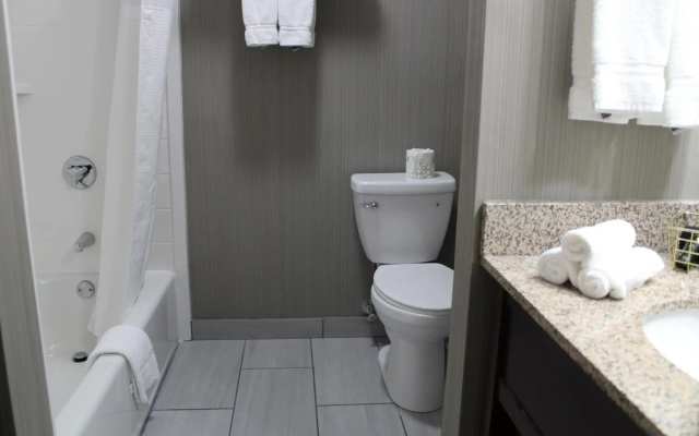 The Black Swan Lee - Lenox, an Ascend Collection Hotel