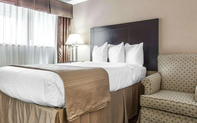 Quality Inn & Suites Coliseum