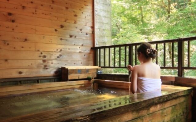 Iwasu Onsen Ryokan Iwasuso