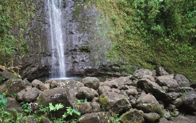 Waikiki Getaway - Studio Condo