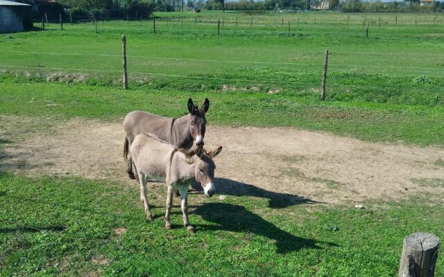 Appartamento Il Brocciolo