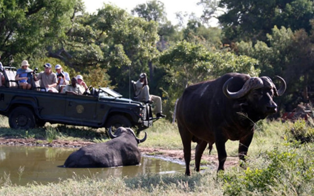 Umlani Bushcamp - Lodge