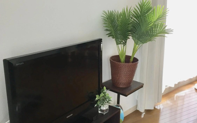 PEARL KAMINOBORI F Plus