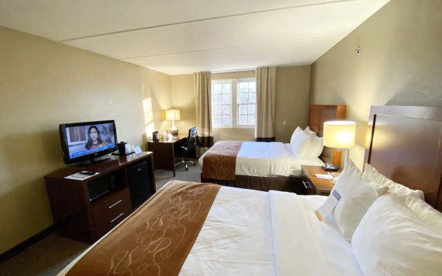 Comfort Suites Near Casinos Norwich-Uncasville CT