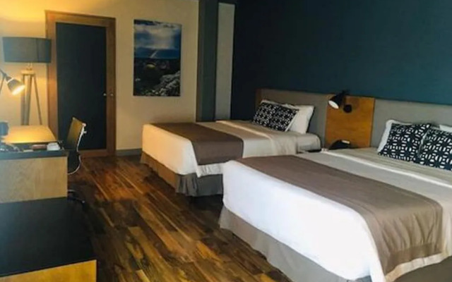TRYP by Wyndham San Luis Potosi