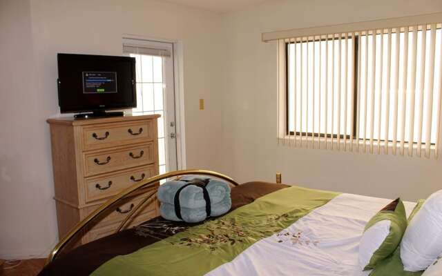 Beach Palms 405