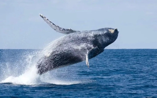 South Gate Hotel Okinawa