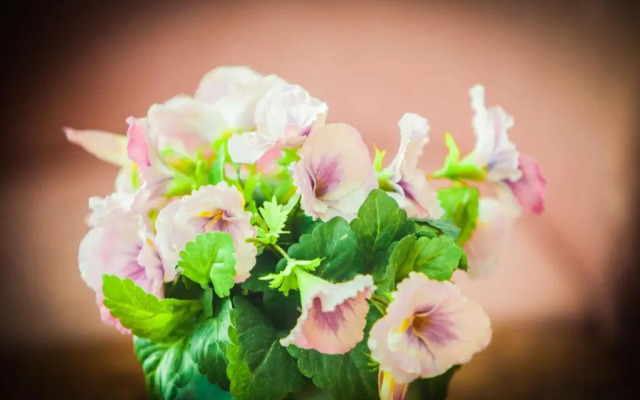 Residence Costazzurra