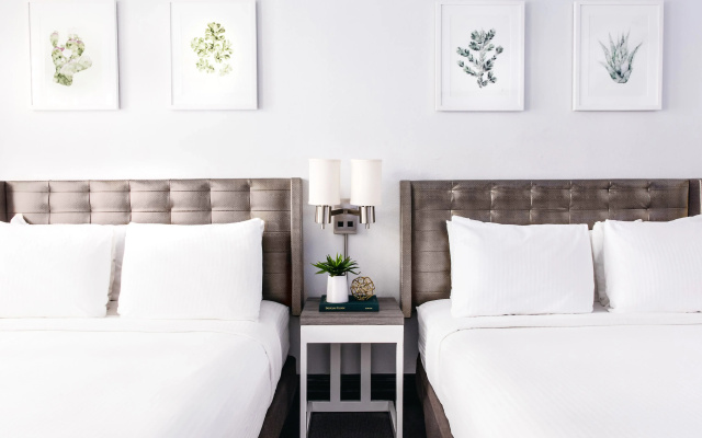 Отель Tilden Hotel