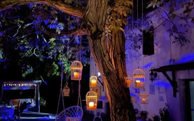 Villa Olive